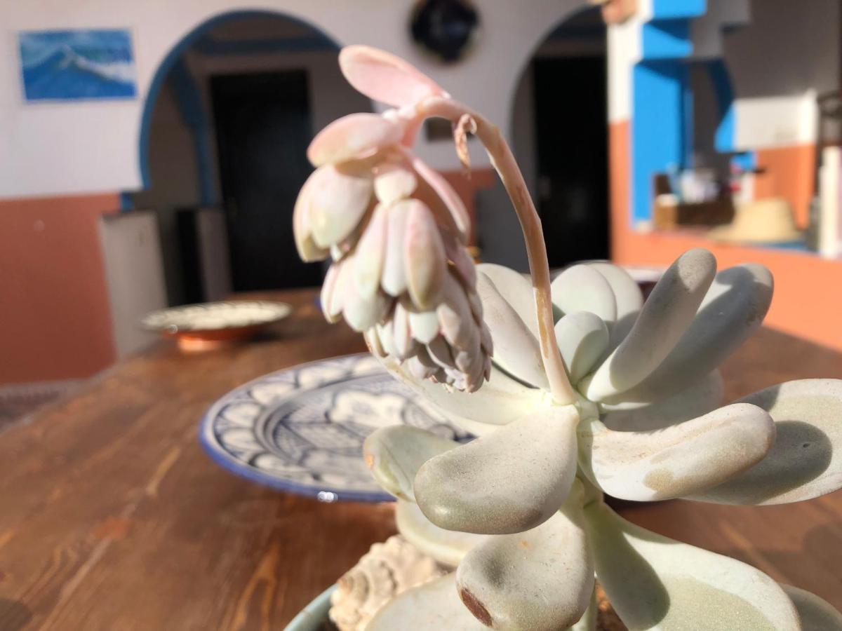 Bed and Breakfast Binic Surf House Taghazout Zewnętrze zdjęcie