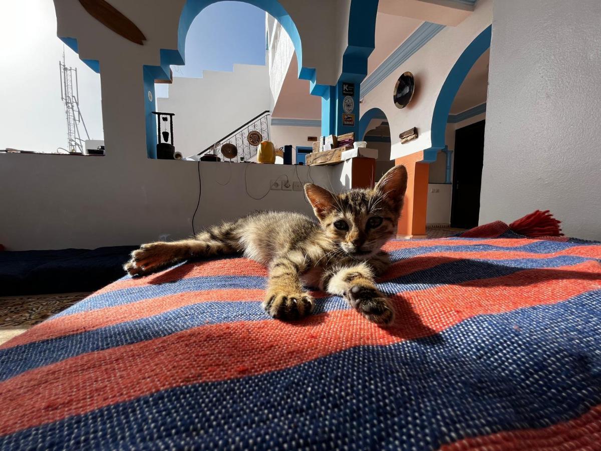 Bed and Breakfast Binic Surf House Taghazout Zewnętrze zdjęcie